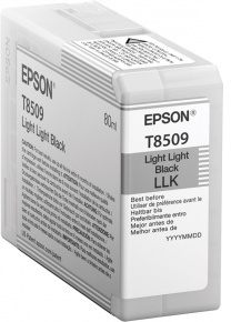 Картридж для принтера Epson C13T850900